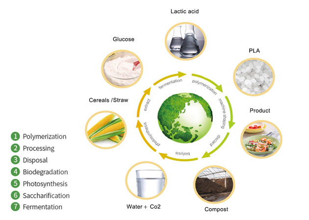 مواد تغليف المواد الغذائية القابلة للتحلل الحيوي - راتينج حبيبات PLA أصبح حبيبيًا جديدًا في صناعة تغليف المواد الغذائية
